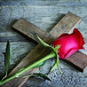 Rose+Croix de Jean Solis